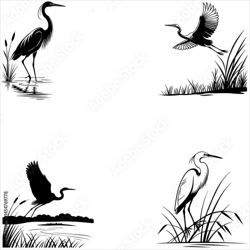 Vector art features a set of birds, including heron and crane silhouettes, 