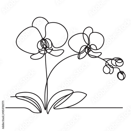 Elegant Orchid Flower One Line Art Vector Graphic Design