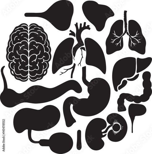 Human organ anatomy icon set with vector glyph pictograms representing brain, heart, lungs, liver, stomach, intestine, kidney for medical healthcare needs