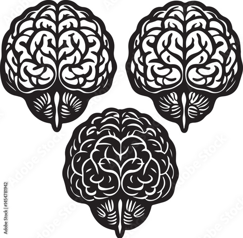 Brain And Neuron Drawings Pro Vector and Pro SVG
