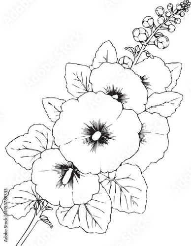 Hollyhock flower drawings, Hollyhock line drawing, pencil Hollyhock flower drawing, coloring pages, free printable flower coloring pages, Calla flowers vector art