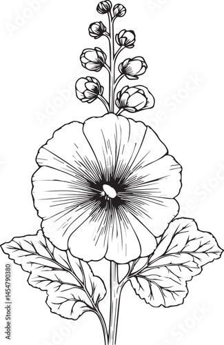 Delicate Hollyhock tattoo. Hollyhock vector illustration, beautiful Hollyhock flower bouquet, hand-drawn coloring pages and book of artistic, blossom Hollyhock, engraved ink art, flower tattoo designs