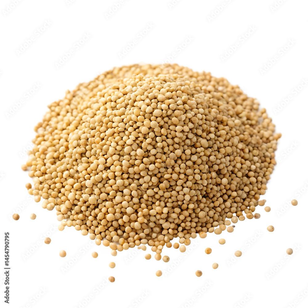 Single quinoa seed isolated on a transparent background
Single quinoa seed isolated on a transparent background