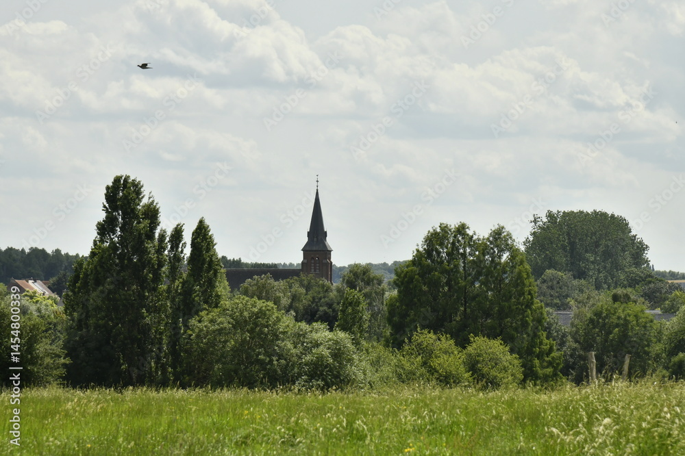 Fototapeta premium Le clocher de l'église Saint-Jean-l'Évangéliste émergeant des arbres d'un bois à Ghislenghien (Ath)