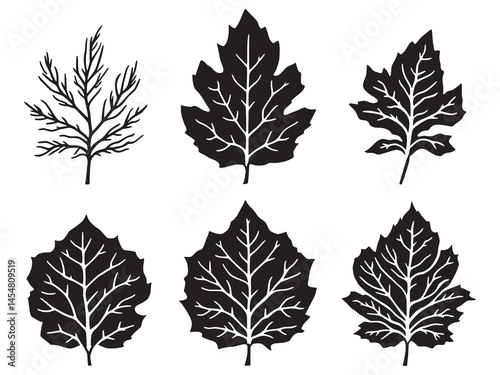 Minimalist staghorn leaf line art vector for decor