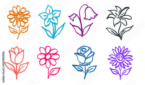 Flower Crayon Chalk Drawing Vector Set