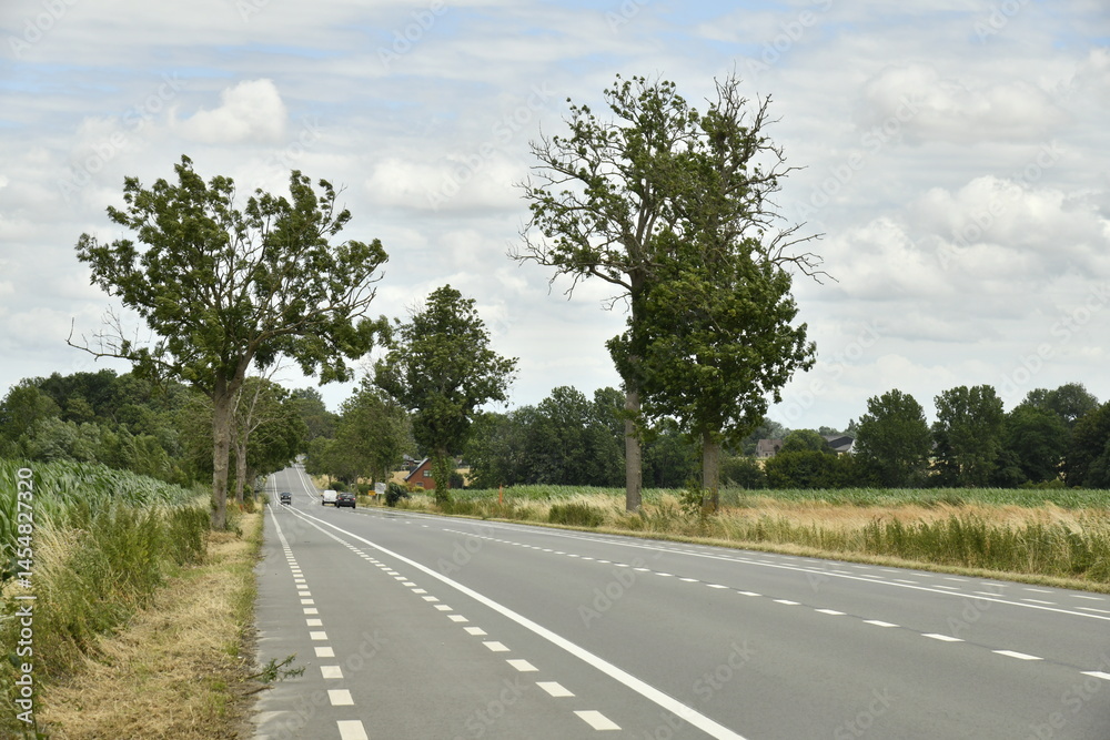 Fototapeta premium Route nationale avec piste cyclable à Hellebecq (Silly)