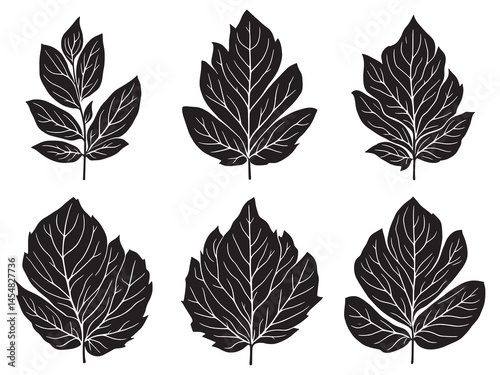 Minimalist willow leaf botanical line art illustration