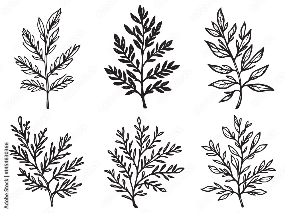 Naklejka premium Minimalist yew leaf vector outline for nature artwork