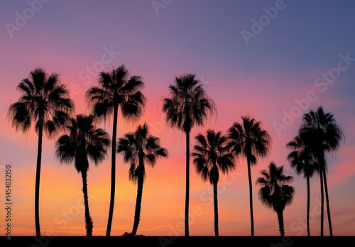Silhouetted palm trees against a vibrant sunset sky.