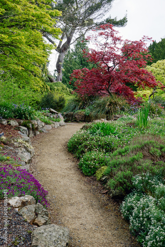 A path through a garden with a red tree in the middle. The path is lined with bushes and flowers