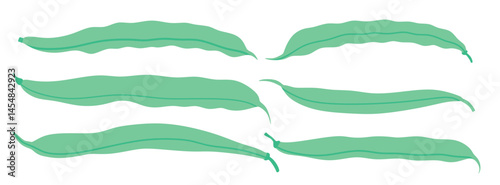 Green bean, string bean,  icon set in the flat style on white background.