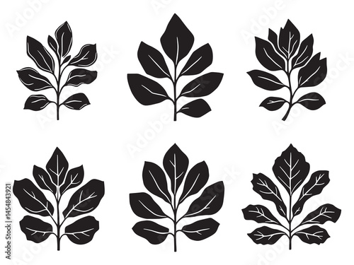 Minimalistic Kalanchoe leaf design with fine line art