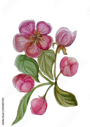 Beautiful delicate pink blossoms with green leaves in a floral arrangement