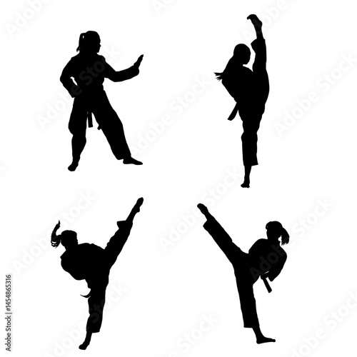 taekwondo