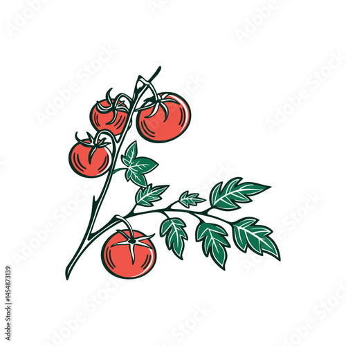 tomato plants, vegetable with root in soil texture, flat design Free Vector