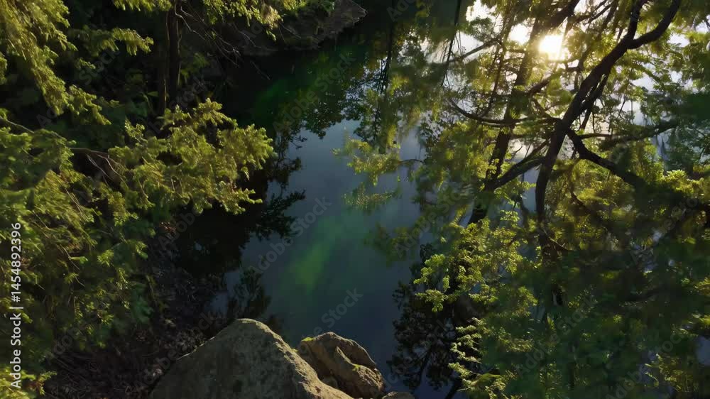 Sunlight reflecting off a calm forest lake near mossy rocks and tree branches at the water's edge
Sunlight reflecting off a calm forest lake near mossy rocks and tree branches at the water's edge