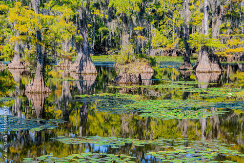 Caddo Lake
