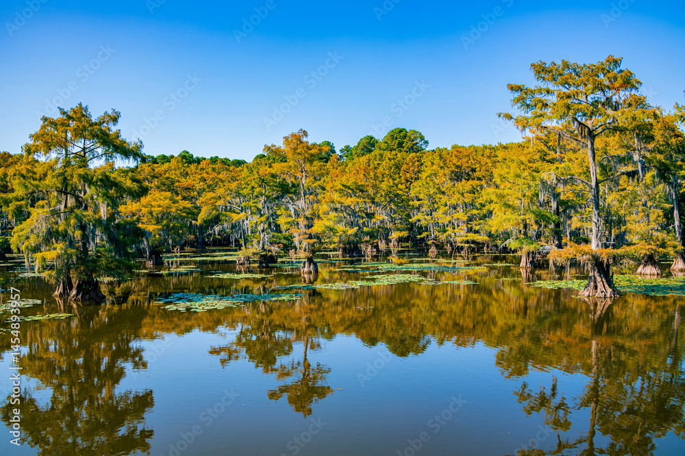 Fototapeta premium Caddo Lake State Park