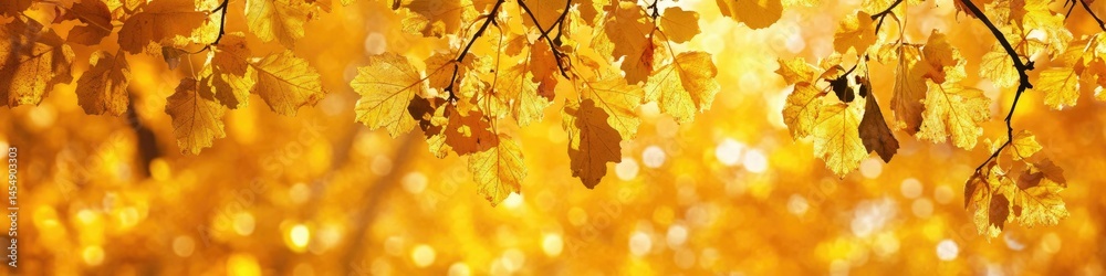 Obraz premium Vibrant Fall Header: Long Banner Featuring Yellow Autumn Leaves Against a Captivating Background