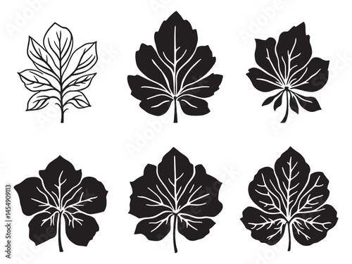 Pelargonium leaf delicate botanical line art illustration