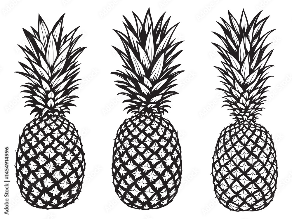 Obraz premium Pineapple art icon creative tropical fruit drawing