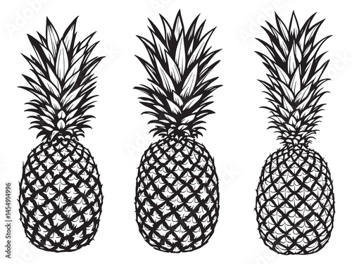 Pineapple art icon creative tropical fruit drawing