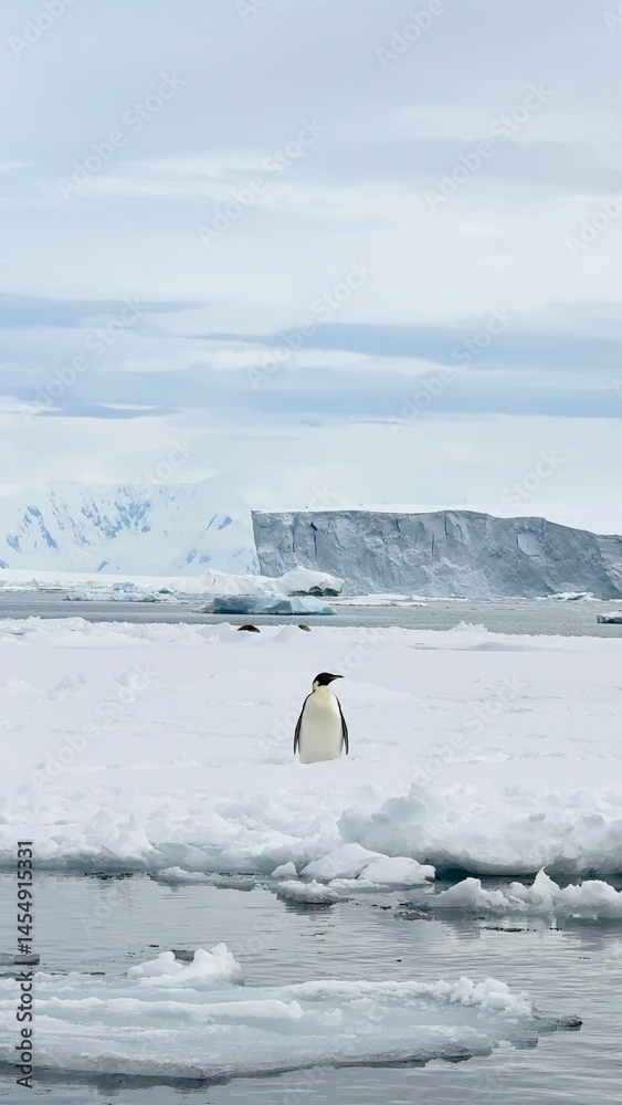 Naklejka premium iceberg in antarctica