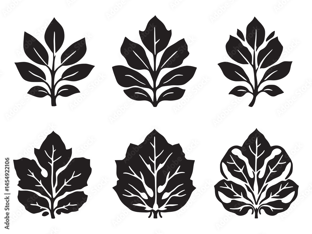 Pomegranate leaf detailed line art botanical design illustration Pomegranate leaf detailed line art botanical design illustration