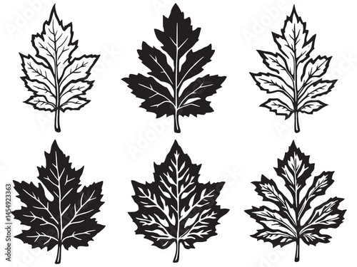 Poplar Leaf Hand Drawn Line Art Vector Illustration