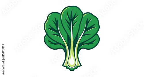 lettuce vector