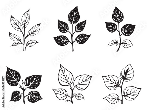purslane leaf botanical line art vector illustration design