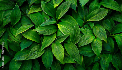 beautiful green leave background