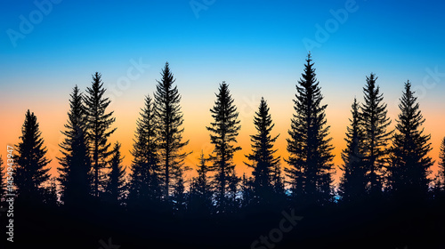 Silhouette of a Forest at Sunset: A majestic forest silhouette against the vibrant hues of sunset, with towering trees painting a dramatic scene of natural beauty and tranquility.