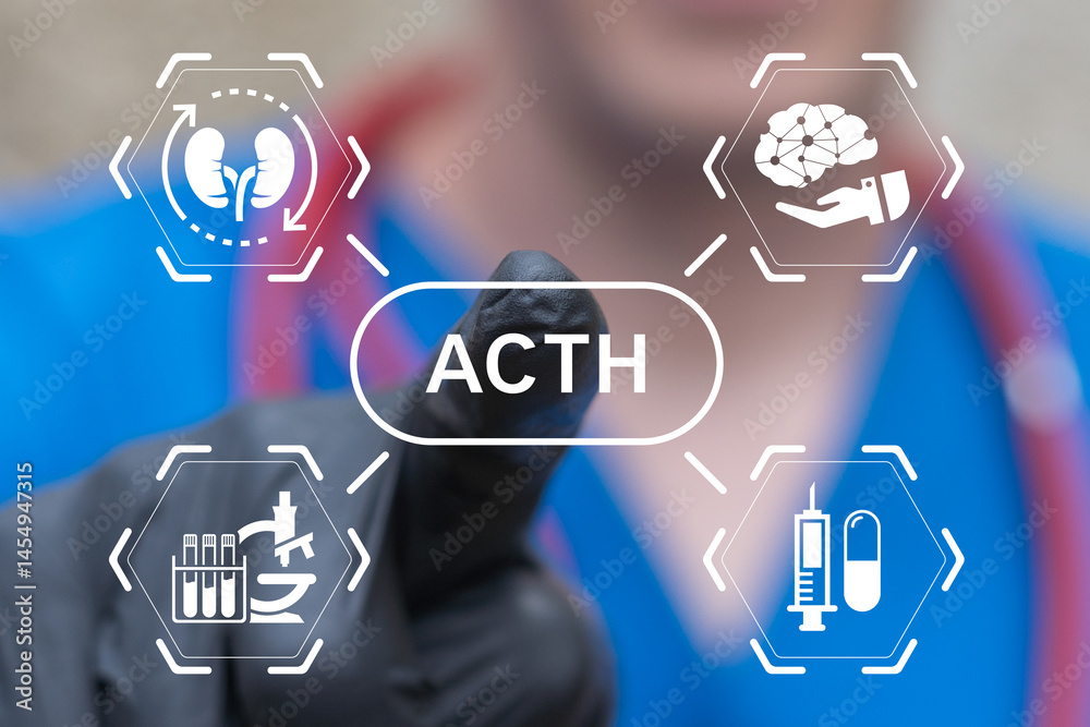 Doctor using virtual touch screen push text: ACTH. ACTH or Adrenocorticotropic Hormone Innovation Medical Concept.
