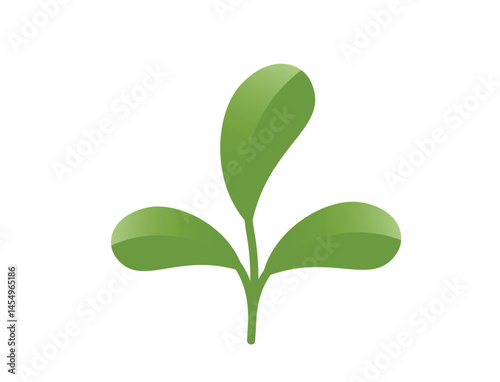Green plant with three rounded leaves illustration. Nature, spring and planting design element. Isolated vector image
