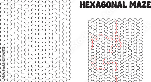 Complex Hexagonal Maze Puzzle Solution and Unsolved Challenge
