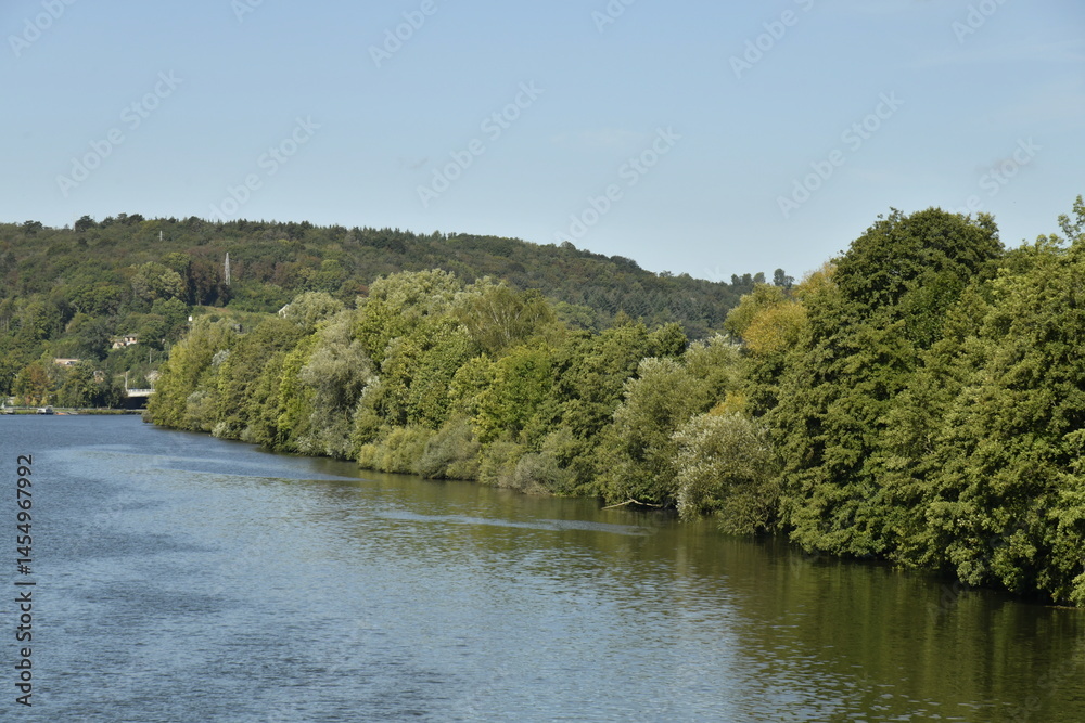 Fototapeta premium Feuillage des arbres d'un bois touchant les eaux de la Meuse à Yvoir (Dinant)
