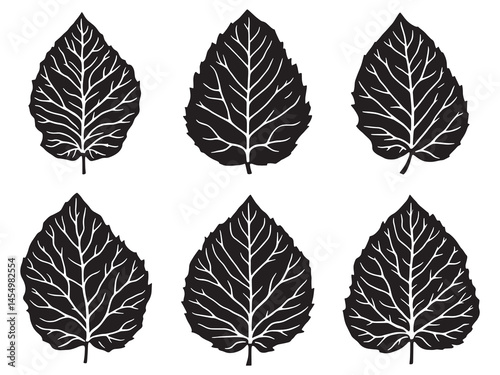Simple Elegant Guava Leaf Line Art Design for Creative Projects