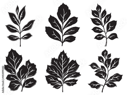 Simple Line Art Illustration of Jade Plant Leaf