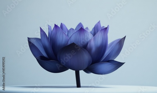 Obraz na płótnie The majestic purple lotus flower stands tall on a smooth white surface showcasing its regal beauty and dramatic presence, botanical photography, , standing flower, dramatic lighting w salonie