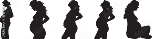 Pregnant Woman Silhouettes Stages Pregnancy Baby Growth Motherhood