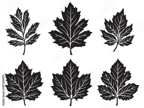Simple Poplar Leaf Line Art Vector for Nature Design