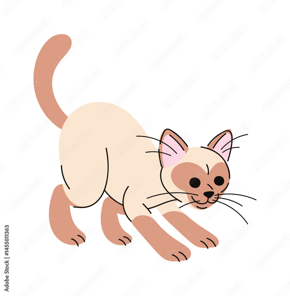 Fototapeta premium Siamese cat hand drawn doodle