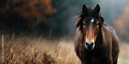Majestic horse stands calmly in a golden meadow during the serene autumn season in the countryside