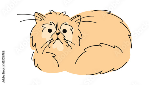 Persian cat hand drawn doodle