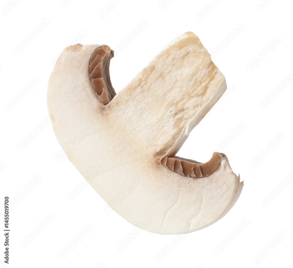 Fototapeta premium One piece of fresh mushroom isolated on white