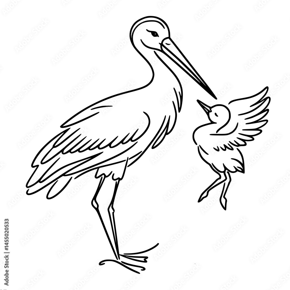 Fototapeta premium Stork and Chick Interacting in a Simple Line Art Style 