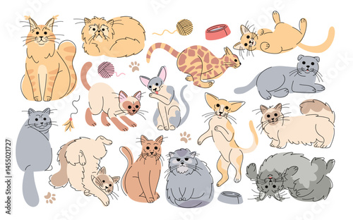 Cute cats hand drawn doodle domestic pet animals of different breed isolated set on white background
