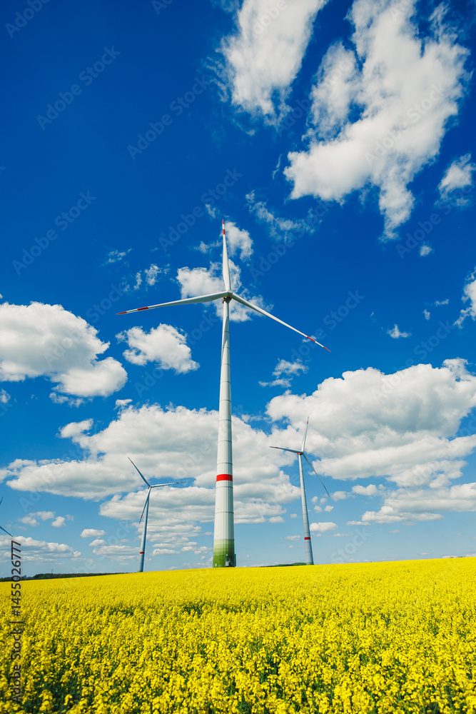 Wind turbine on sky background and grass with farmland for eco friendly environment or alternative energy in rural area. Energy with farm for sustainable ecosystem